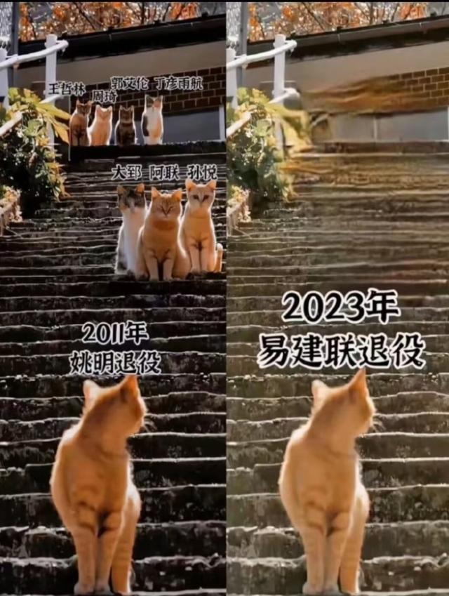 1694995356237024046.jpg 202309172031076125.jpg